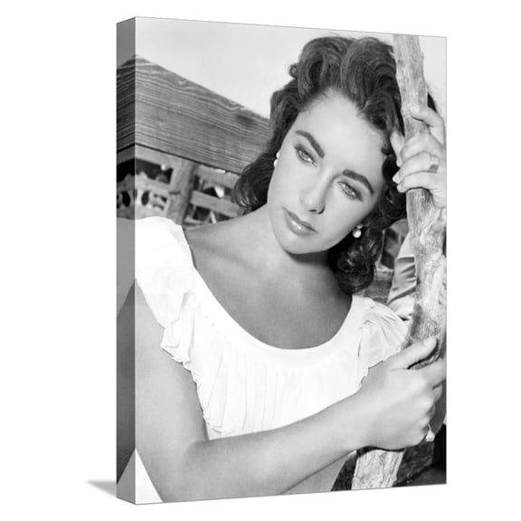 Art.com Giant, Elizabeth Taylor, 1956 Stretched Canvas Print Wall Art, 12" x 16"