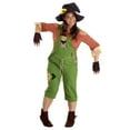 thumbnail image 2 of Fun Costumes Womens Exclusive Scarecrow Costume Set, 2 of 5