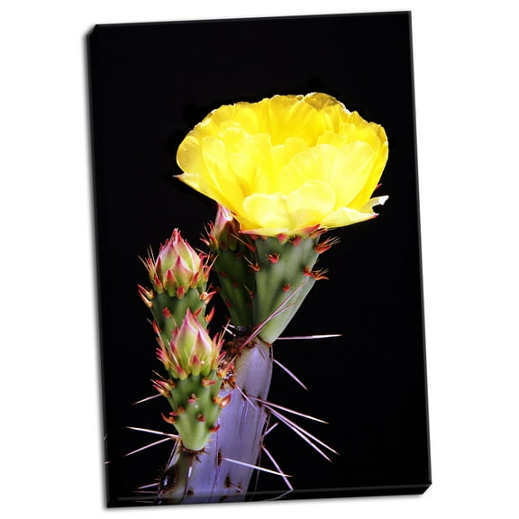 Gango Home Decor Beginning the Month of Yellow by Douglas Taylor (Ready to Hang); One 24x36in Hand-Stretched Canvas