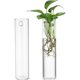 thumbnail image 1 of Estación de Propagación de Pared: 2PCS Terrarios De Cristal Florero Macetas Colgantes Maceteros Cilíndricos Montados En La Pared Soporte para Plantas, 1 of 4