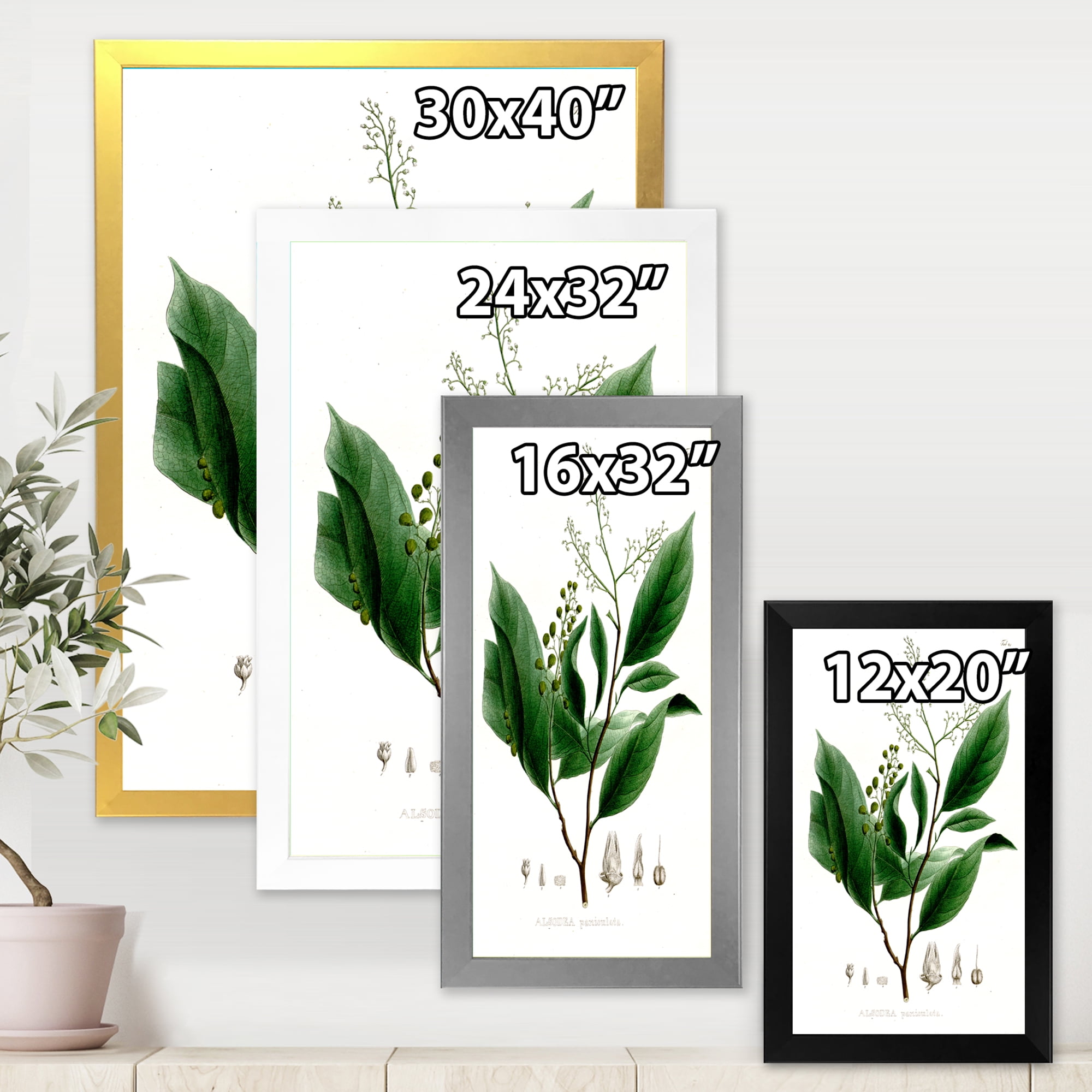 Designart 'Ancient Brazilian Plant II' Traditional Framed Art Print