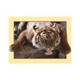 thumbnail image 1 of Animal Resina 5D DIY Diamante Pintura Bordado Punto de Cruz Imagen Decoración de la pared del hogar - L2010 Eigraketly JJ13343-07, 1 of 6