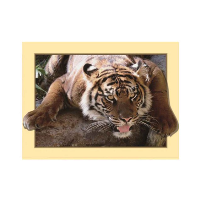 Animal Resina 5D DIY Diamante Pintura Bordado Punto de Cruz Imagen Decoración de la pared del hogar - L2010 Eigraketly JJ13343-07