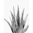 thumbnail image 3 of Nieman, Rachel 15x18 Black Modern Framed Museum Art Print Titled - Organic Botanical II, 3 of 5