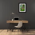 thumbnail image 3 of Jaynes Gallery 11x14 Black Ornate Wood Framed with Double Matting Museum Art Print Titled - USA-Colorado-Fort Collins Zebra longwing butterfly close-up, 3 of 4