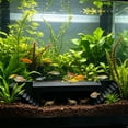 thumbnail image 5 of Long Aquarium Fish Tunnel Cave Decoration, Two Hole Plastic Hideaway Shelter For Betta Fish Shrimp Small Aquatic Pets Viewing Tube Aquascaping Ornament Tank Landscape Decor, 5 of 6