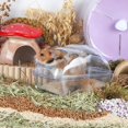 thumbnail image 4 of HTOOQ Hamster Sand Bath Container Large Transparent Plastic Toilet with Scoop Set for Small Pet Animals Cage Accessories, 4 of 5