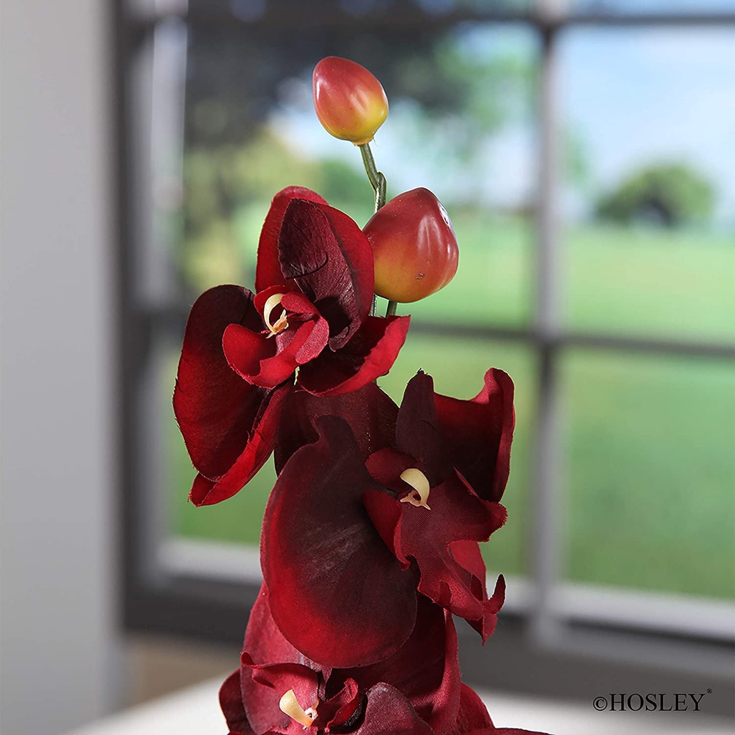 Hosley Decorative Gold Metal Tall Floor Vase 21.75" High w/Set of 6 Farmhouse Orchid Phalaenopsis Artificial Flowers 28" Long- Burgundy For Rooms. Ideal for Home Weddings Party & Special Occasions