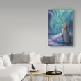 thumbnail image 3 of Trademark Fine Art 'Aurora Bunny' Canvas Art by Kirk Reinert, 3 of 3