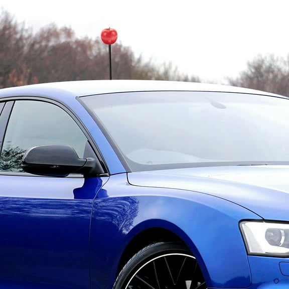 BESTONZON Antenna Topper Car Antenna Toppers Plastic Multi 1Set