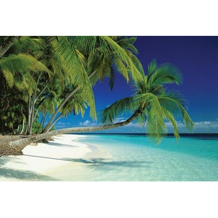 Maldives Beach Palm Trees Ocean Island Tropical Paradise Photo Poster - 36x24 (Best Beach Girl Photos)