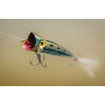 thumbnail image 3 of Rebel Pop-R Fishing Lure - Tennessee Shad, 3 of 3