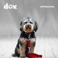thumbnail image 6 of DDOXX Dog Leash Nylon Reflective Adjustable 66 Ft Many Ors Sizes For Small, 6 of 9