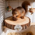 thumbnail image 6 of YCCMML Wooden Perch Round Toy Small Animal Jumping Platform for Hamster Gerbil Squirrel Cage, 6 of 8