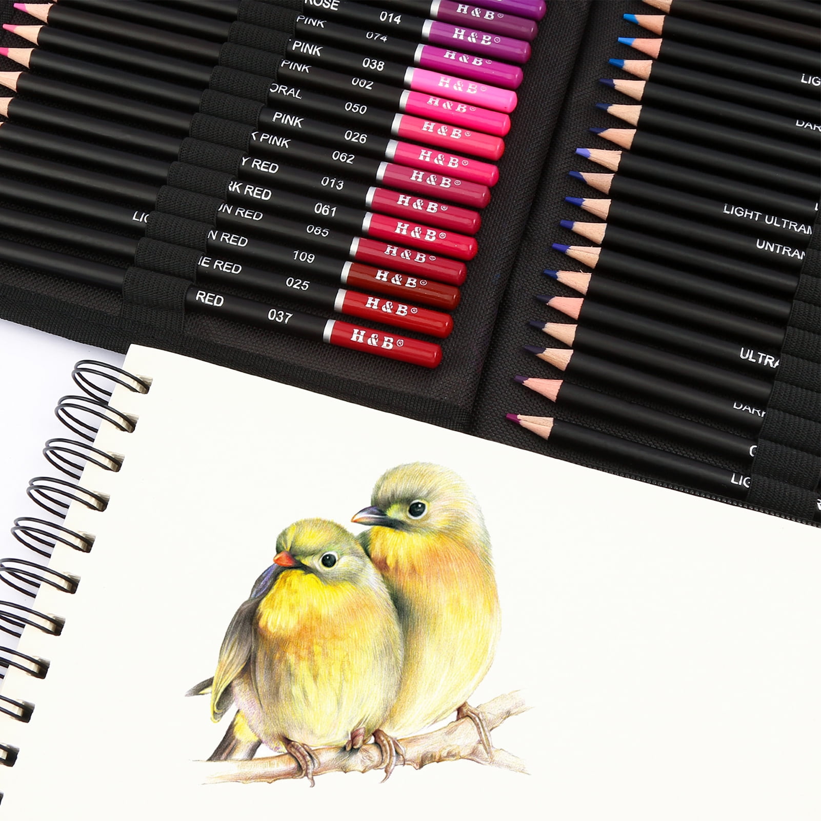 H&B 145-Piece Professional Oil Colored Pencils and Sketch Set Charcoal Graphite Pencil Eraser Extender Draw Paper Carrying Bag Art Supplies Gift for  Adults Artist Drawing Coloring Sketching