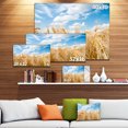 thumbnail image 3 of Barley Field under Blue Sky - Landscape Canvas Art Print, 3 of 4