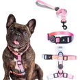 thumbnail image 3 of LAICAIW Gradient Color Dog Harness and Leash Set, Adjustable Lightweight Pet Products, Fashionable Comfortable no Pull Rope Set for Small&Medium Dog (Small Collar Harness Leash, Pink), 3 of 7