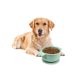 thumbnail image 1 of 1pc Silicone Bowl With Suction Cup, Prevents Spills, Portable & Hangable For Dogs & Cats, Suitable For Small Pets, 1 of 4