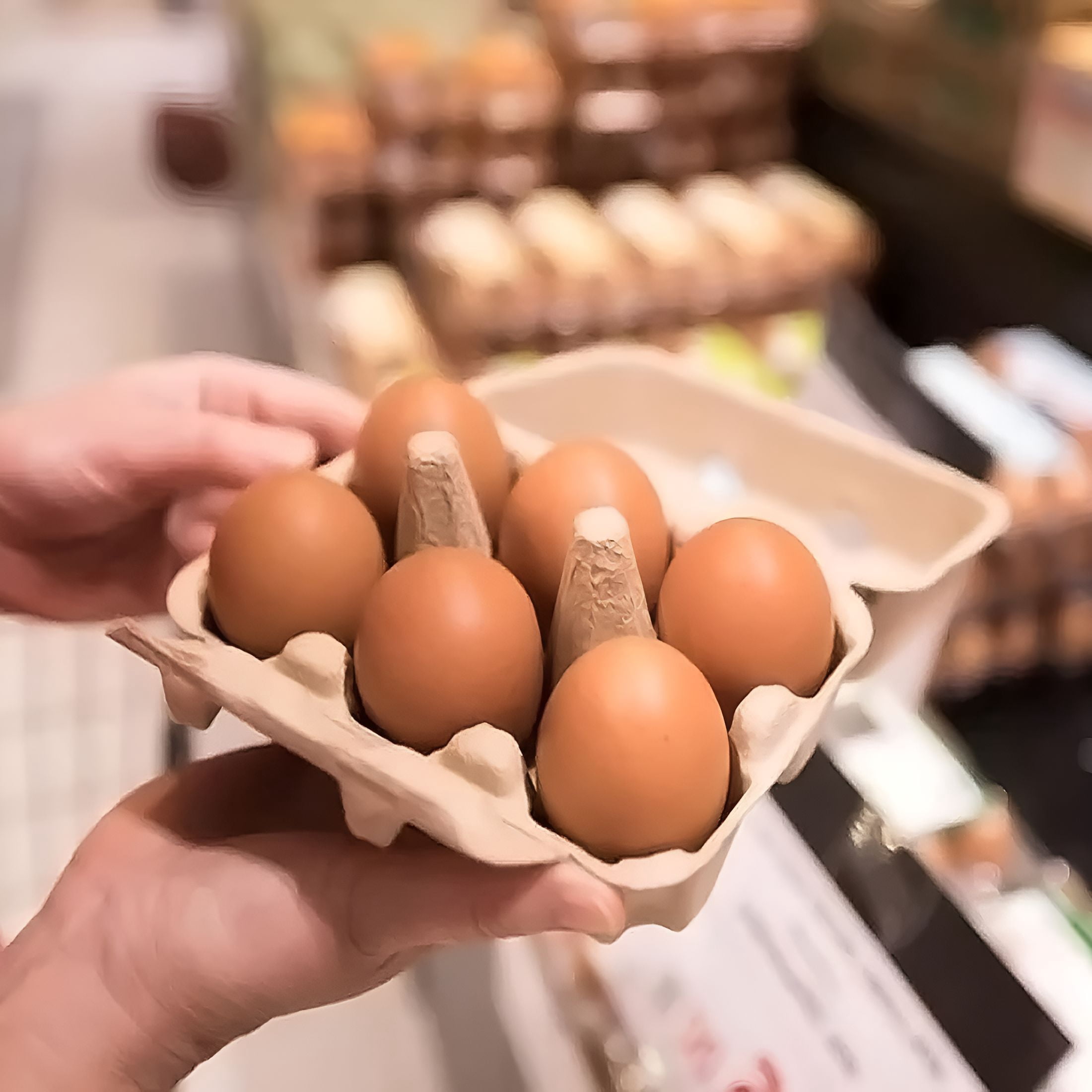 ACDANC 100 Pieces Natural Material Empty Egg Cartons,Each Holds 6 Fiber Egg Carton for Home,Farm,Market,Camping,Picnic,Travel,Reusable