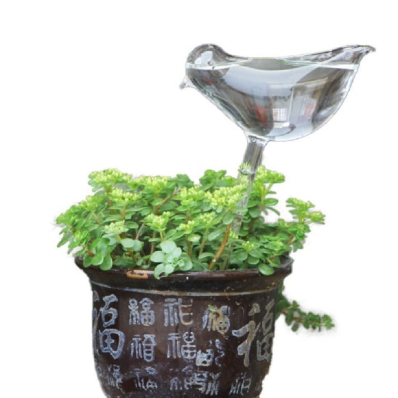 Jianama Clear Glass Plant Flowers Water Feeder Bird Automatic Self