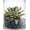 H-12" D-10", variant on Large Glass Cylinder Vase (H:12" D:8") Flower Vase Centerpieces Hurricane Floating Pillar Candle Holder Terrarium Planter