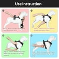 thumbnail image 6 of PoyPet No Pull Dog Harness,No Choke Front Lead Dog Reflective Harness,Adjustable Soft Padded Pet Vest with Easy Control Handle for Small to Large Dogs,Black M, 6 of 9