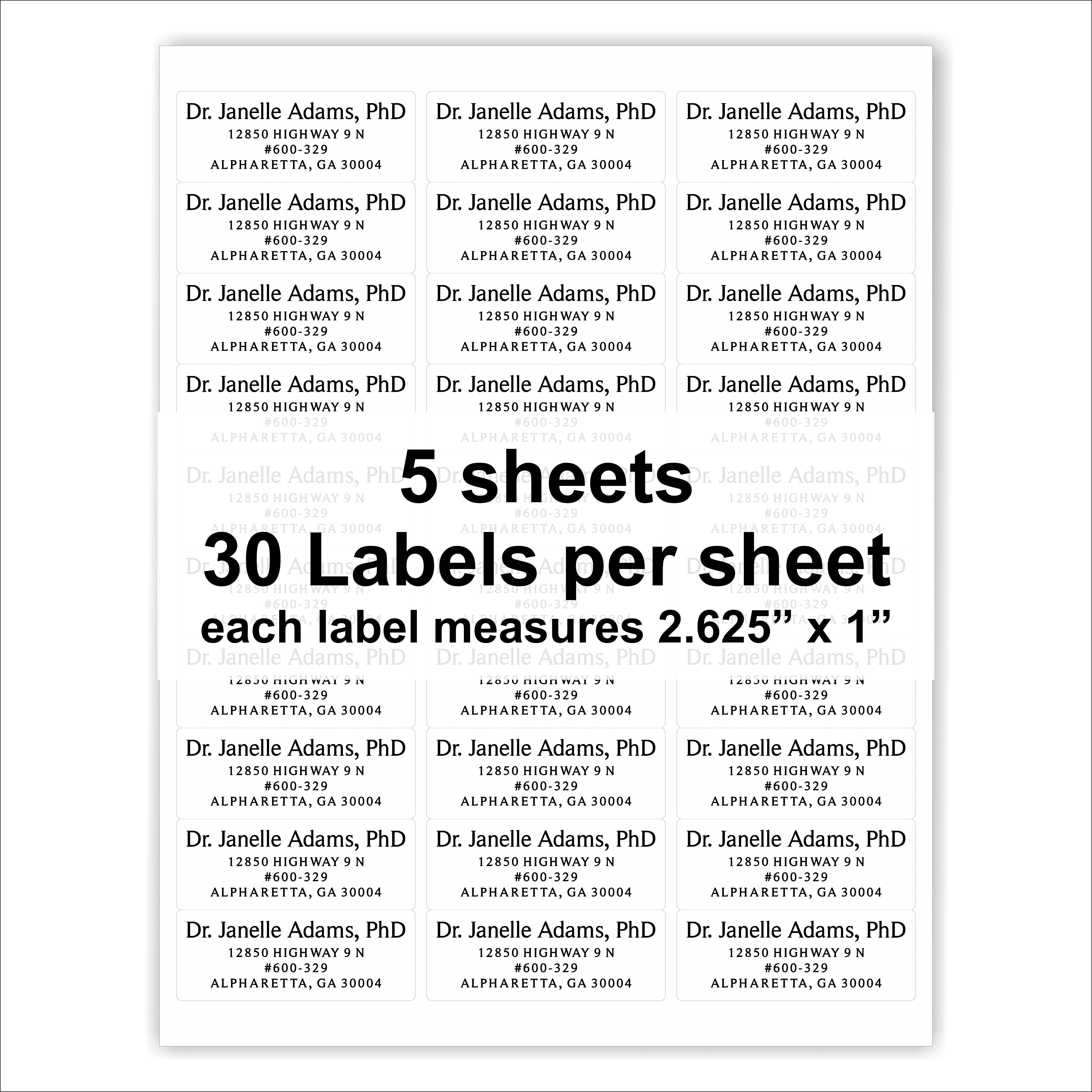Clear Return Address Labels - Custom Printed Mailing Stickers, Frosted Transparent Return Address Label Sheets - Professional, Business, 4 Lines, 150 Labels