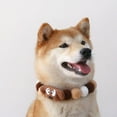 thumbnail image 2 of CSChome Pet Collar Pet Collar Cartoon Soft Cute Adjustable Woolen Thread Fur Ball Dog Collar, 2 of 7