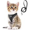 thumbnail image 1 of wonima02 Comfy Dog Harness with Leash, Cat Vest Harness Escape Proof, Breathable Lightweight Soft Mesh, Adjustable Reflective Step-in Harness for Puppy Toy Breeds & Extra-Small Pet (XXS, Black), 1 of 1