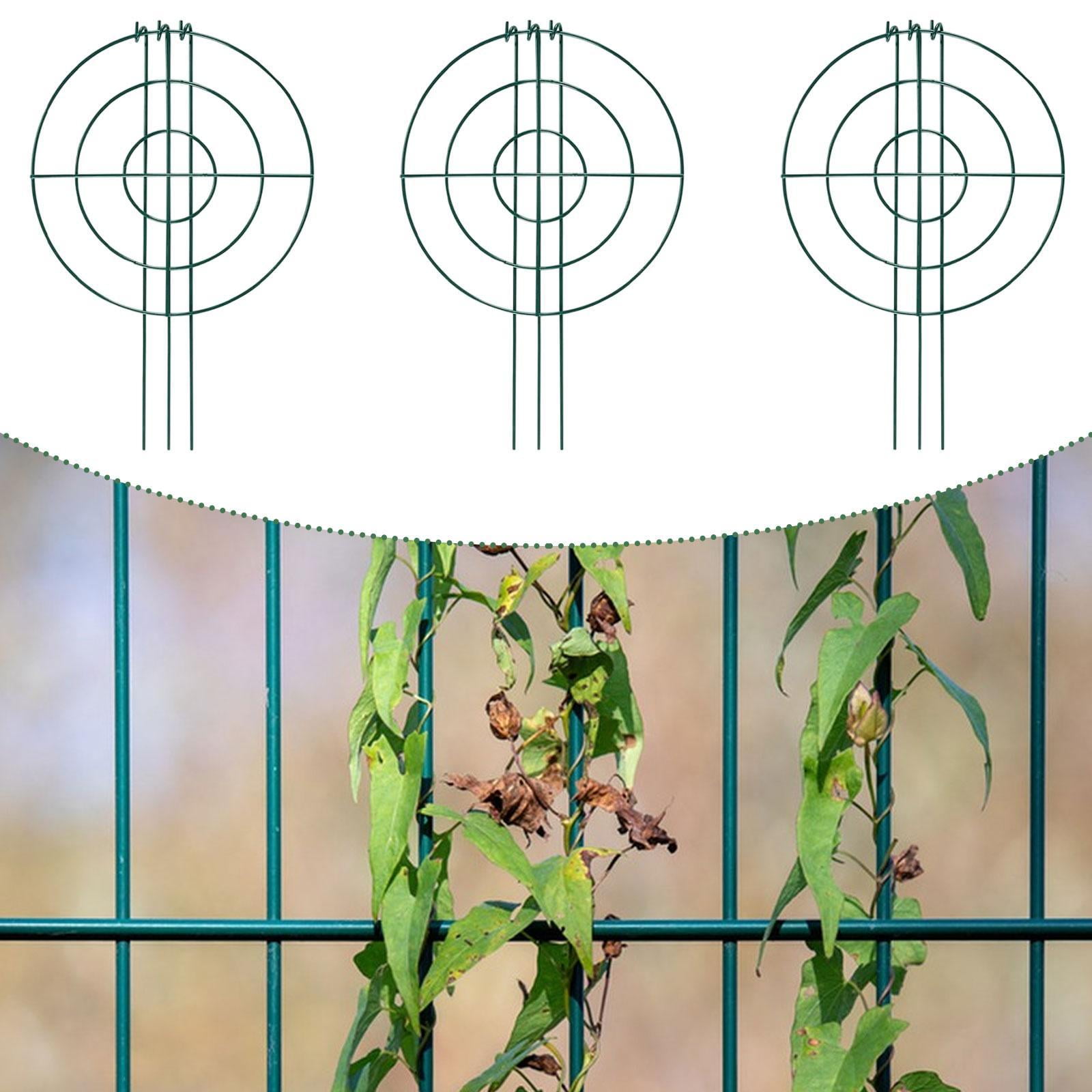oshhni 3 Pieces Peony Support Cages Climbing Trellis for Vegetables Tomato Backyard Circle