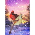 thumbnail image 3 of America Forever Winter Cardinal Garden Flag Double Sided Vertical Decorative 12.5 x 18 inches for Outdoor, Yard, Porch Happy Holiday Welcome Winter Snowfall Snowflakes Red Cardinal Winter Birds, 3 of 7