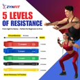 thumbnail image 4 of Set de bandas de resistencia ZYNFIT de 5 niveles con anclaje para puerta, 4 of 6