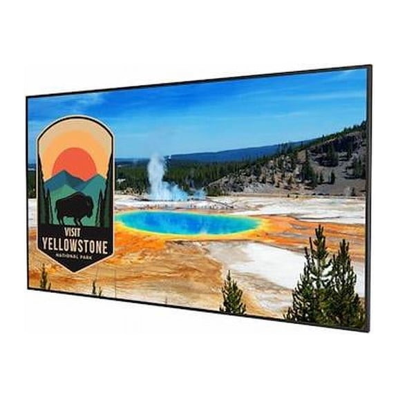 Planar SLM55 - 55" Diagonal Class Simplicity M Series LED-backlit LCD display - digital signage - Android - 4K UHD (2160p) 3840 x 2160 - Direct LED