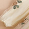 thumbnail image 5 of Generic Toddler Girls Spring Ruffled Tulle Puff Floral Lace Embroidery Princess Dress Show Dress Autumn Winter Clothes for Catwalk Performance Holiday Party Wedding Christmas（4-5 Years Beige）, 5 of 7