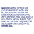 Knudsen Cottage Doubles Lowfat Cottage Cheese & Raspberry Topping with 2 Milkfat, 4.7 oz Cup