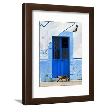 Wrought Iron Bicycle Wall Art Detail of Siamese Cat in Doorway with Wrought Iron Cover, Puerto Vallarta, Mexico Framed Print Wall Art By Nancy & Steve Ross ()