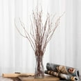 thumbnail image 5 of Tutuviw 17" A bundle of Dry Birch Twigs, Natural Birch Branches for Decorating, DIY Crafts, Flower Arrangement, Decorative Birch Sticks for Vase, Centerpieces, Dried Plants Decor, 5 of 8