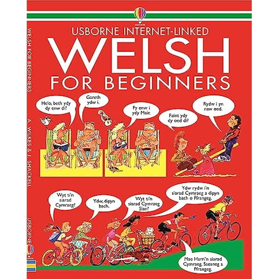 Pre-Owned Welsh for Beginners (Paperback) 0746003854 9780746003855