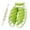 Green, variant on Hyasfey 29 Roller Leg Massage Anti-Cellulite Lymphatic Drainage Deep Tissue Therapy Thighs Arm Back Shoulder Muscle Relaxation Massage Stick