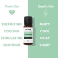 thumbnail image 4 of Aceite esencial Revive Peppermint 30 ml 100% puro terapéutico, 4 of 7