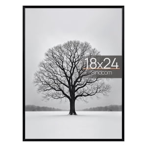 Sindcom 18x24 Black Poster Frame