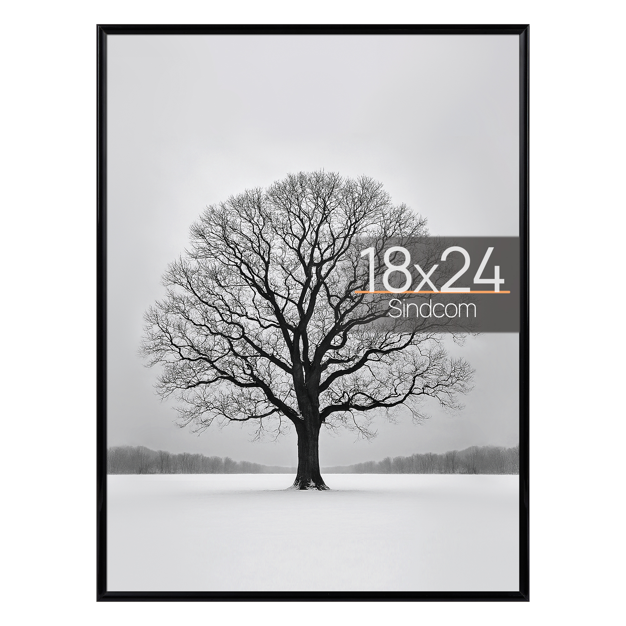 Sindcom 18x24 Black Poster Frame photo 1