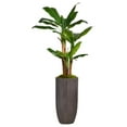 thumbnail image 1 of 74.25 in. Banana Tree Faux Decor with Burlap Kit, 1 of 2