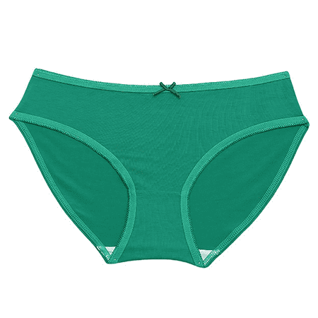 Fulorrnie Underwear for Women No Show High Waist Seamless Panties Band Briefs Elastic Comfort Panty  Green  L