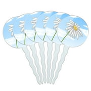Daisy Flower Cupcake Picks Toppers - Set of 6