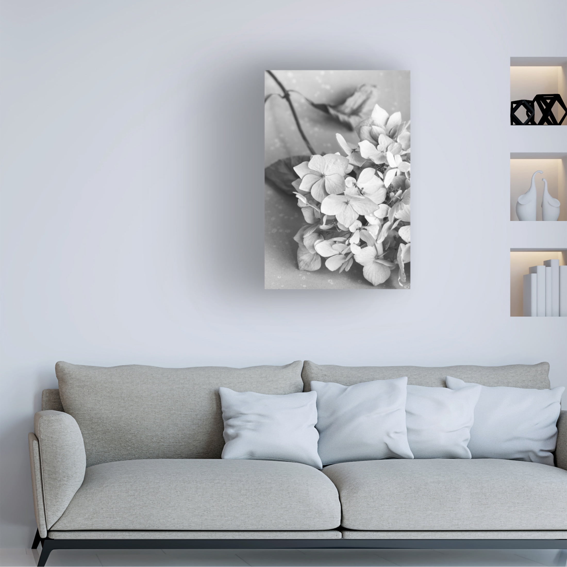Trademark Fine Art Pictufy Studio Dried Flowe Ron Plate Black A White Canvas Wall Art