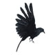 thumbnail image 3 of Aves Artificiales Decorativas Colco Adornos de Aves Decorativas, 3 of 8