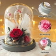 thumbnail image 3 of Rosa eterna con forma de cisne y cubierta de cristal con luces, regalos navideños, regalos de cumpleaños para familiares y amigos, 3 of 5