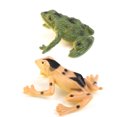 thumbnail image 4 of Conjunto de 12pcs Imitación Modelos de Ranas Plásticas Adornos para Escuela Sunnimix Frog Figures Toy, 4 of 8