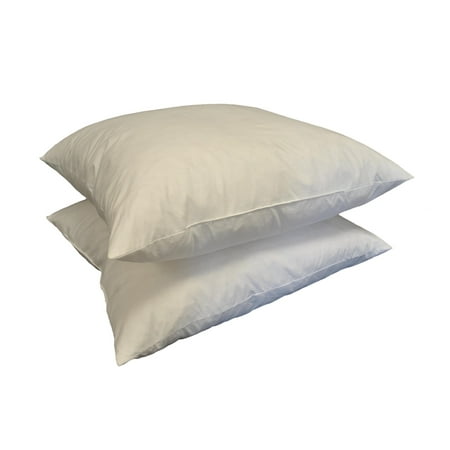 Pacific Coast Home Furnishings Inc 21 Inch Square Feather Pillow